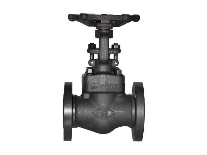 Forged Steel Gate Valve