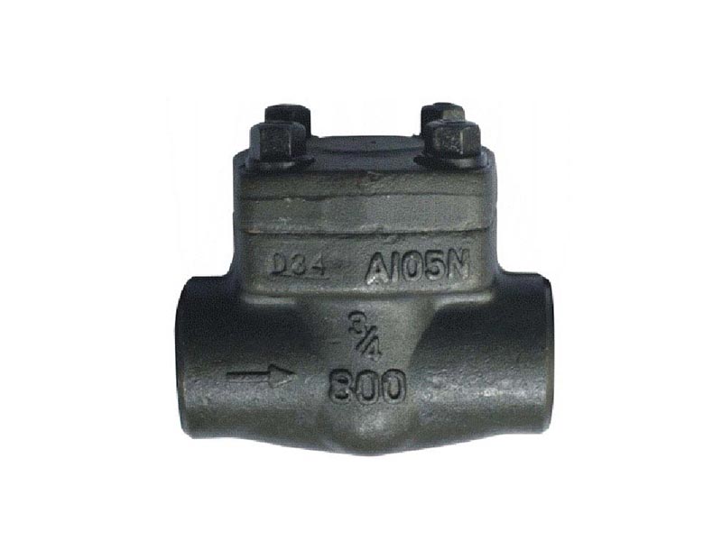 Forged steel check valve