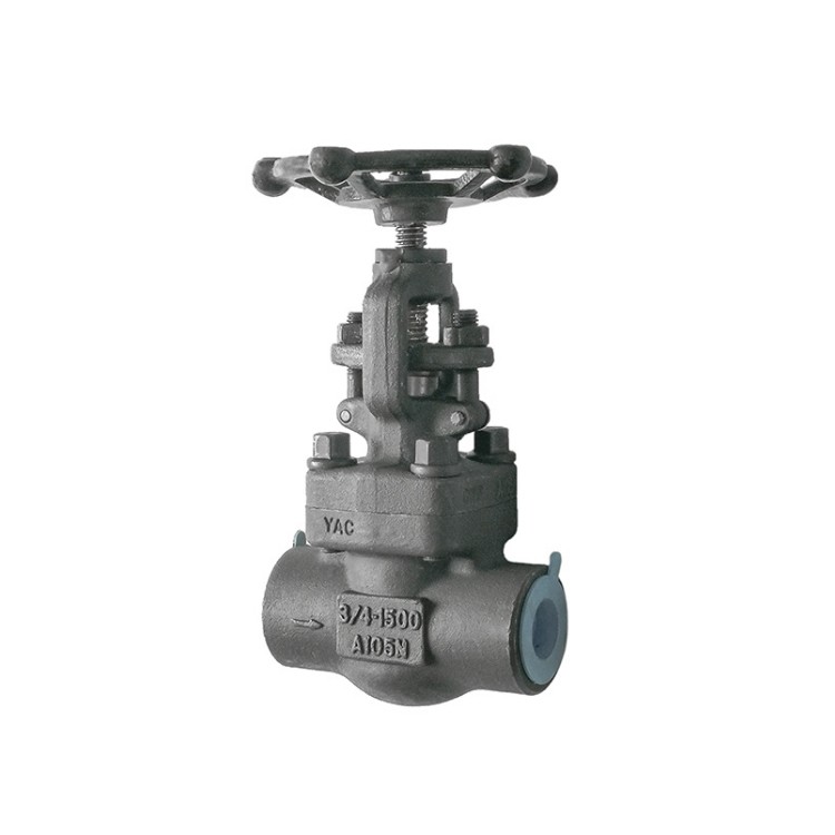 Forged Steel Globe Valve